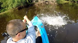 Topwater Fishing The Mississippi River