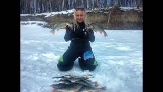 Крупный окунь на безмотылку