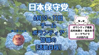 日本保守党　6月10・11日　チーム・ボランティア皆様の【活動日程】ボランティア募集　北村晴夫弁護士・岩永京子トークライブのお知らせあります