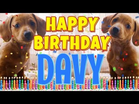 Happy Birthday Davy! ( Funny Talking Dogs ) What Is Free On My Birthday