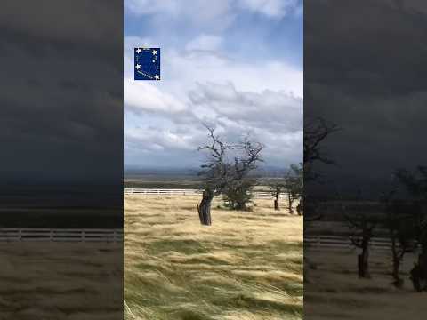 ENTRE LLANURAS DE DIANA Y CORDÓN ARAUCO #chile #puertonatales #patagoniachilena #surdechile #natales