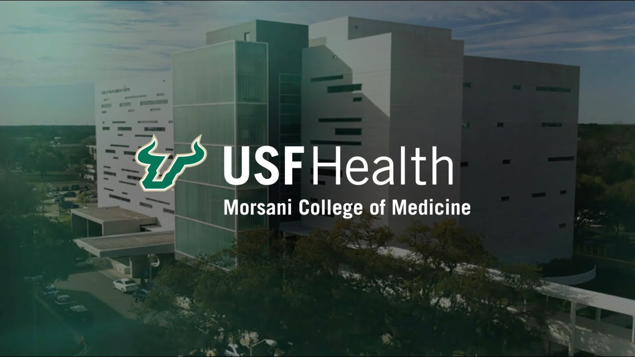 Orthopaedics And Sports Medicine Usf Health Usf Mcom Academic Calendar