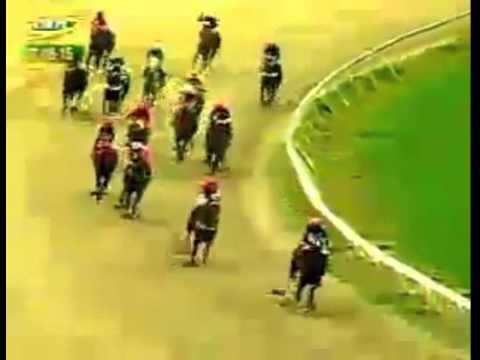 VALENCIA 11 CARRERA, VIERNES 07 DE AGOSTO DEL 2015