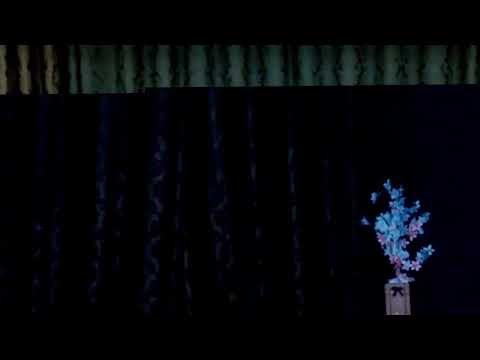 A Correção de Deus (Hebreus 12: 1-11)