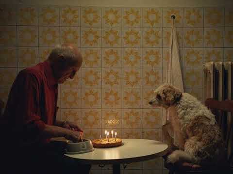 the magnetic fields - all the umbrellas in london (slowed and reverbed)