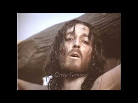 Cerca l'amore