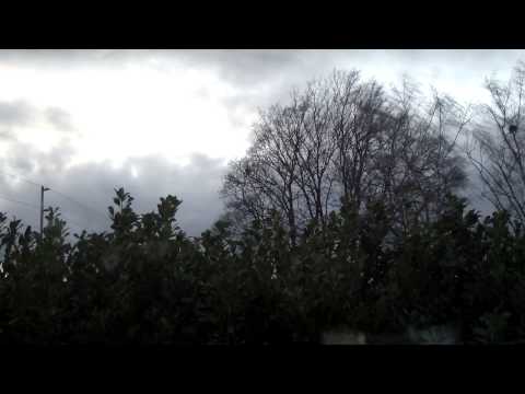 Portland, OR Wind Storm December 11, 2014 (6 of 8) HQ Stereo HD