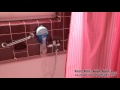 Vidéo