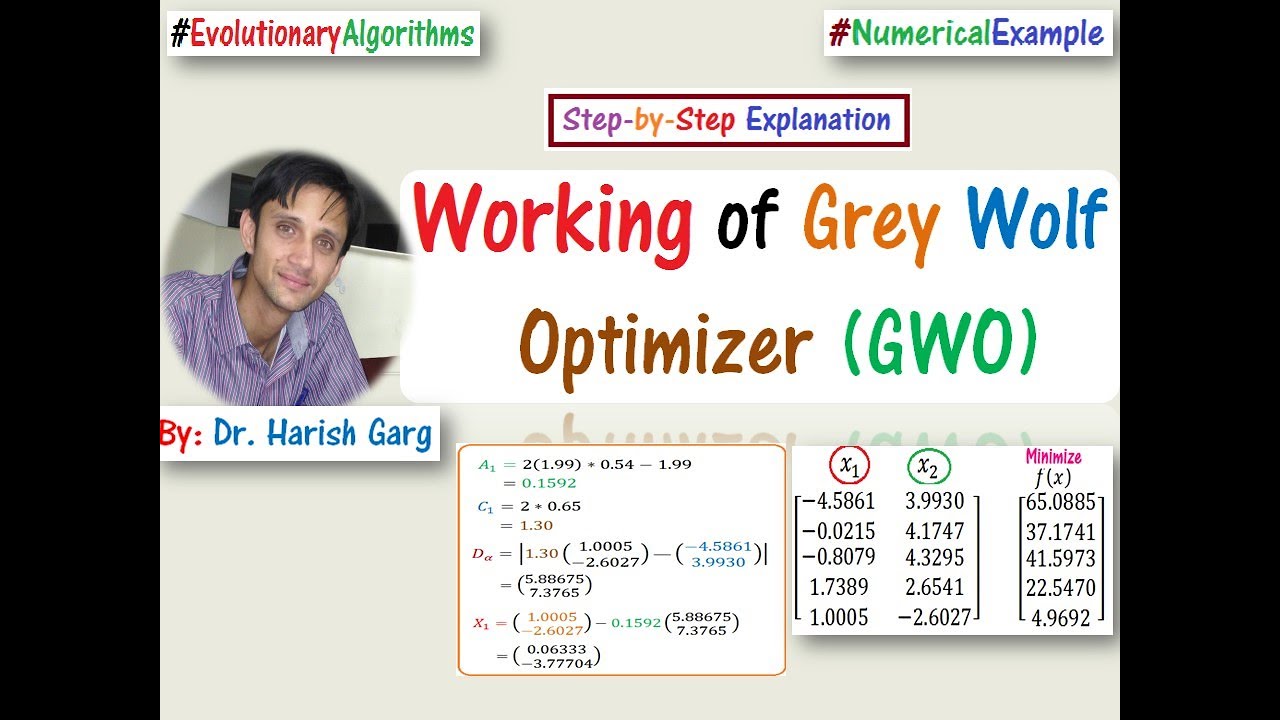 Step-by-Step Working of Grey Wolf Optimizer (GWO) with Numerical Example