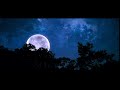 White Moon At Night 4K Video