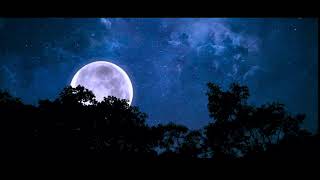 Download lagu Bulan Putih di Malam Hari - Video 4K mp3