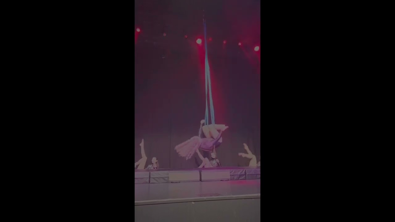 Promotional video thumbnail 1 for Madds Aerial Artist