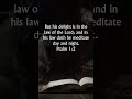 Psalm 1 verse 2 KJV Audio Bible | His delight is in the law of the Lord