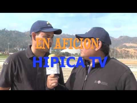 AFICION HIPICA TV DOMINGO 05 DE JUNIO 2016