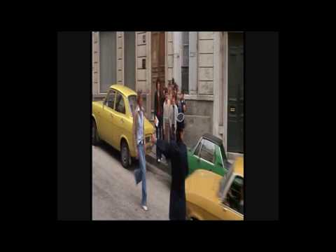 Zvíře, L animal 1977