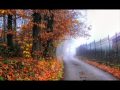 M. Ward - not a gang