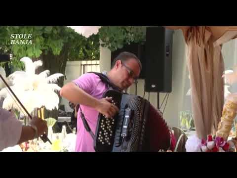 Zika Srem - Dejan Kostic Mocart