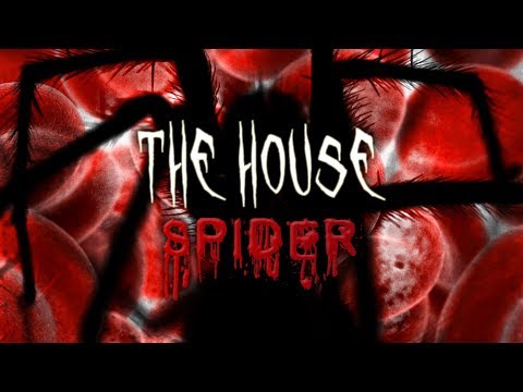 "The House Spider" by VeraStahl | scary Japanese yokai story ハウスクモ  ヨーカイ