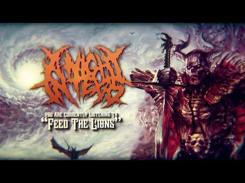 A NIGHT IN TEXAS - Feed The Lions