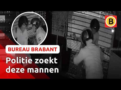 Inbrekers stelen voor tienduizenden euro's aan brillen | Bureau Brabant