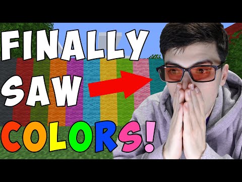 Minecraft, But I'm Not Colorblind Anymore...