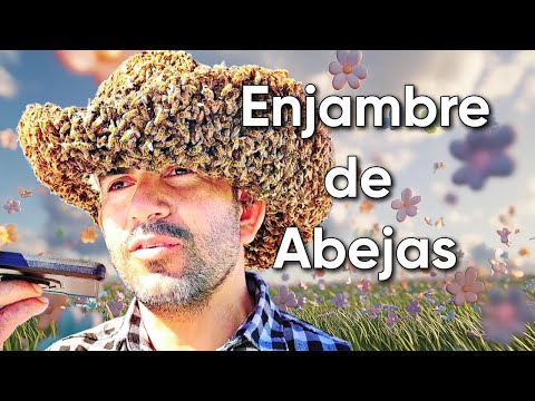 bees herald honey | abejas asesinas | killer bees | not the bees | queen bee reina bees swarm attack