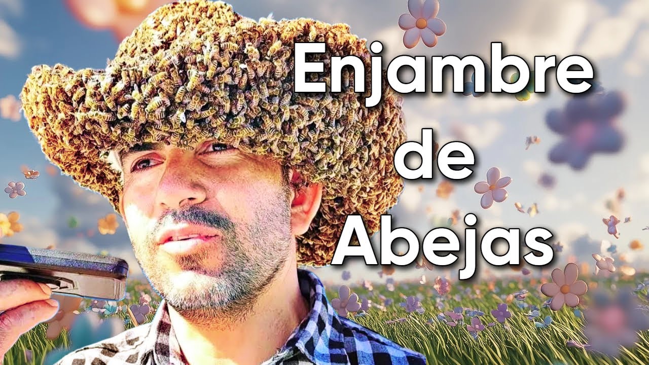 bees herald honey | abejas asesinas | killer bees | not the bees | queen bee reina bees swarm attack