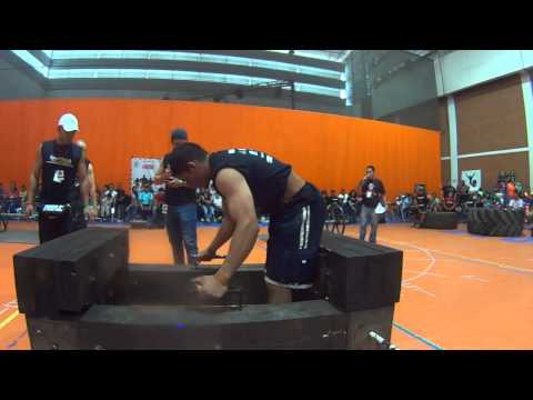 The Timber Carry 285 kg Mike Classic