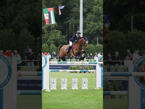 Show Jumping is INCREDIBLE! 😍