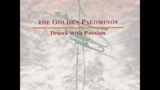 when the kingdom calls - the golden palominos