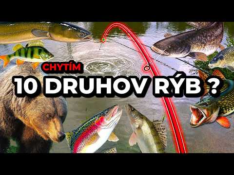 Chytím 10 druhov Rýb❓Vyplašil som Medveďa 🐻 Sumec na Bambusový Prút 🐋 Lov Rýb na Rybku, Prívlač...