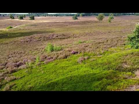 Rendeklippen (Epe) (Dji mavic mini)
