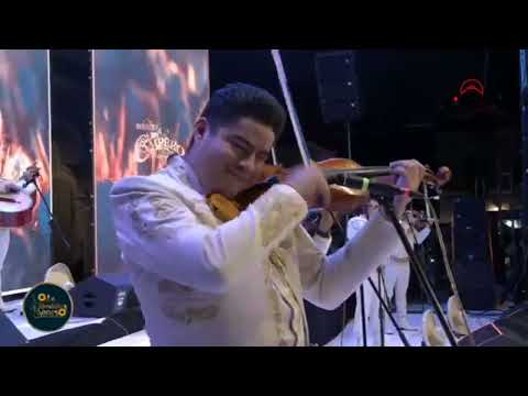 Mariachi Los Camperos-De Tecalitlan Los Sones 2025