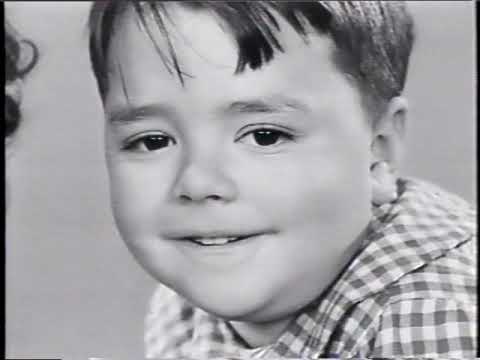 Little Rascals / Our Gang - Readin' and Writin' - Kid From Borneo - Sprucin' Up - Pay as you Exit -