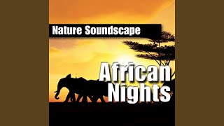 African Nights (Nature Sounds Only)