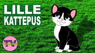 Lille kattepus