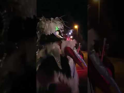 1.3.2019 Nachtumzug Langenbrücken - Freeed