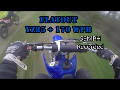 170 DETROIT WPB | BALLSOUT