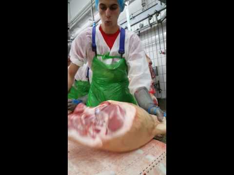 Macelarii de la(Gocksch) Herford!!!👍👍👍💪💪💪