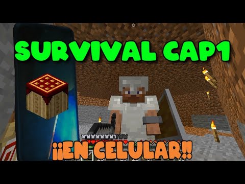 Survival in MINECRAFT JAVA from a CELLPHONE📱