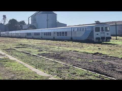 TRENES TALGO en Argentina 