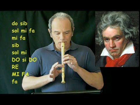 Beethoven - Romanza in FA op. 50 (FAMOSISSIMA)