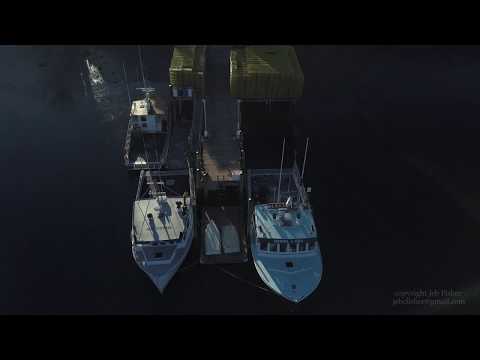 020619 Bass River, Beverly MA Mavic