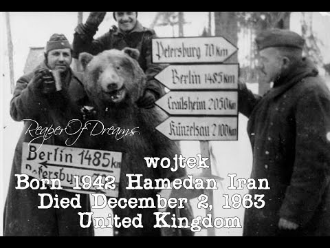 ReaperOfDreams Wojtek Happy Warrior Polish Corporal Wojtek Tribute song