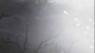 Converge - "No Heroes"