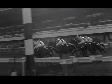 The killing FULL[HD]MOVIE