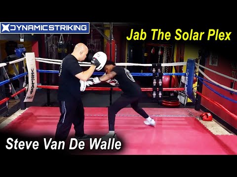 Jab The Solar Plex by Steve Van De Walle