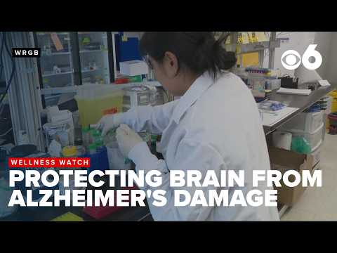 RPI researchers identify potential pathway to protect brain ...