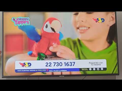 A3D Chile Happy Yappers