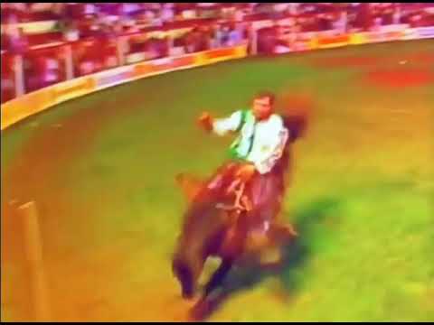 Amarildo Francisco rodeio de colorado PR Ano 1996
